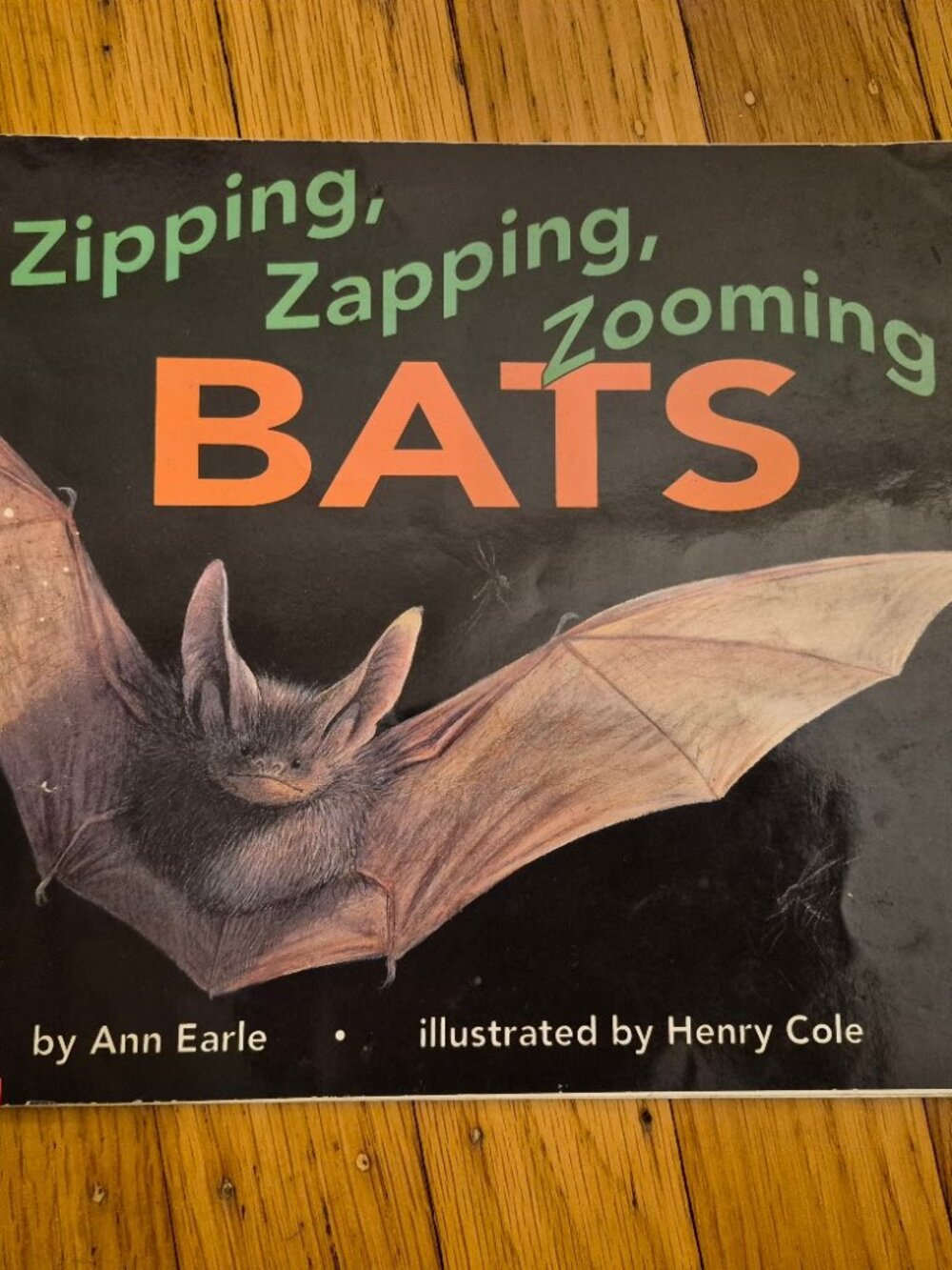 Zipping, Zapping, Zooming BATS